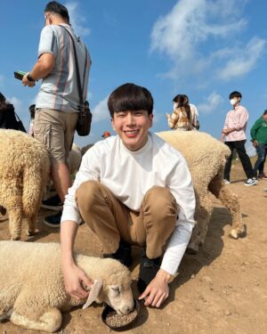 Chanon Santinatornkul Instagram - ฮัลโหลๆ เทสๆ ชาวสับตะไคร้บอกเห็นรูปนี้บ่? ผมอยู่กับแกะ เห็นรูปขอให้พิมแบะๆหรือไม่ได้ซับเห็นก็พิมได้นะ เผื่อตกหล่น 🐑 #ไอจีอย่าอย่าเล่นผม ประท้วงๆๆๆ 😅😂
Any subscribers see this pic? Im with a sheep so if you see this pic type baa 🐑 p.s some of the sub ones say they dont see my latest post. What da hell IG!!!