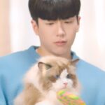 Chanon Santinatornkul Instagram - รักนนกุล รักน้องแมว เลือก VFcore (วีเอฟคอร์) นะครับ @vetsynova #นวัตกรรมอาหารเสริม #VFcore #วีเอฟคอร์