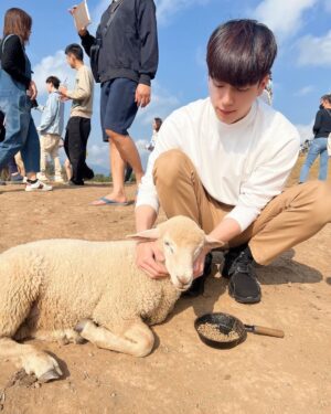 Chanon Santinatornkul Instagram - ฮัลโหลๆ เทสๆ ชาวสับตะไคร้บอกเห็นรูปนี้บ่? ผมอยู่กับแกะ เห็นรูปขอให้พิมแบะๆหรือไม่ได้ซับเห็นก็พิมได้นะ เผื่อตกหล่น 🐑 #ไอจีอย่าอย่าเล่นผม ประท้วงๆๆๆ 😅😂
Any subscribers see this pic? Im with a sheep so if you see this pic type baa 🐑 p.s some of the sub ones say they dont see my latest post. What da hell IG!!!