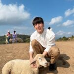 Chanon Santinatornkul Instagram - ฮัลโหลๆ เทสๆ ชาวสับตะไคร้บอกเห็นรูปนี้บ่? ผมอยู่กับแกะ เห็นรูปขอให้พิมแบะๆหรือไม่ได้ซับเห็นก็พิมได้นะ เผื่อตกหล่น 🐑 #ไอจีอย่าอย่าเล่นผม ประท้วงๆๆๆ 😅😂 Any subscribers see this pic? Im with a sheep so if you see this pic type baa 🐑 p.s some of the sub ones say they dont see my latest post. What da hell IG!!!