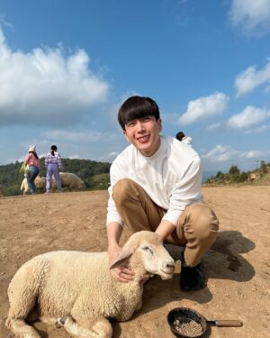 Chanon Santinatornkul Instagram - ฮัลโหลๆ เทสๆ ชาวสับตะไคร้บอกเห็นรูปนี้บ่? ผมอยู่กับแกะ เห็นรูปขอให้พิมแบะๆหรือไม่ได้ซับเห็นก็พิมได้นะ เผื่อตกหล่น 🐑 #ไอจีอย่าอย่าเล่นผม ประท้วงๆๆๆ 😅😂
Any subscribers see this pic? Im with a sheep so if you see this pic type baa 🐑 p.s some of the sub ones say they dont see my latest post. What da hell IG!!!