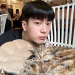 Chanon Santinatornkul Instagram - หลับด้วย 😴 let sleep together 😴