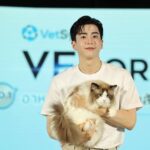 Chanon Santinatornkul Instagram - ขอฝาก VFcore(วีเอฟคอร์) อาหารเสริมแมวเลีย และ @vetsynova ด้วยนะครับ ❤️🍀 รักผม รักน้องแมว เลือก VFcore นะครับ 😽 #เพราะรักให้เลีย #VFcore #VetSynova