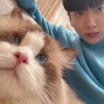 Chanon Santinatornkul Instagram – มองไรอ่ะ 😺?
What meow lookin at 😸?