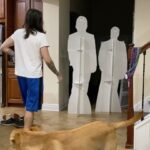 Charles White Jr. Instagram – My dogs still don’t like Keanu Reeves or Brendan Fraser