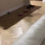 Charles White Jr. Instagram – How to handle a cockroach