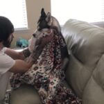 Charles White Jr. Instagram - Training for wrestle mania