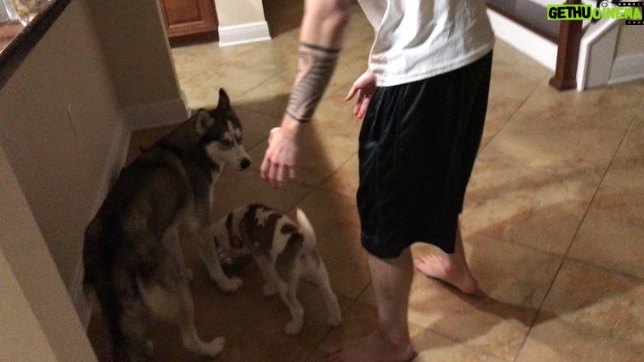 Charles White Jr. Instagram - Watching this cute puppy for a few days