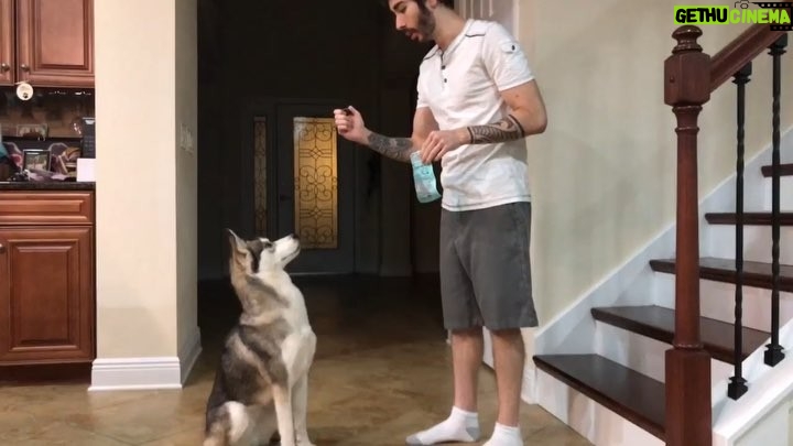 Charles White Jr. Instagram - Teaching Tetra to recognize me as the ultimate gamer