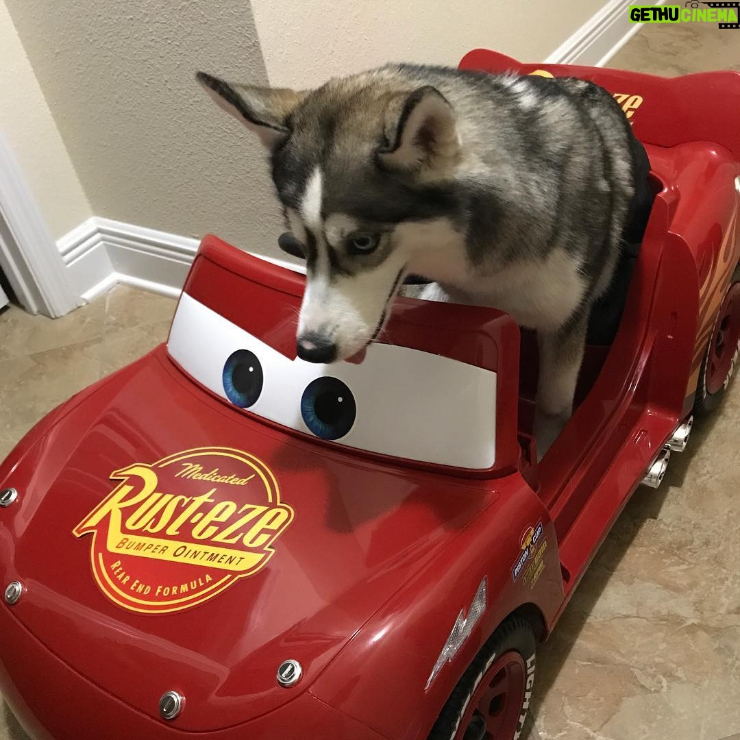 Charles White Jr. Instagram - Hard speed fast as shit turbo racing