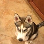 Charles White Jr. Instagram -
