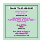 Charlie Carver Instagram - Some follow up from Friday’s conversation (saved and posted!)... @raquel_willis kindly shared this list of Black trans-led organizations that I’ve tagged in these slides. Give them a follow, familiarize yourself with their work, and donate if you can :) Consider making your donation monthly. Sustained support in every sense is how we can effect real change. More to share soon x