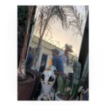 Charlie Carver Instagram – 4th Venice