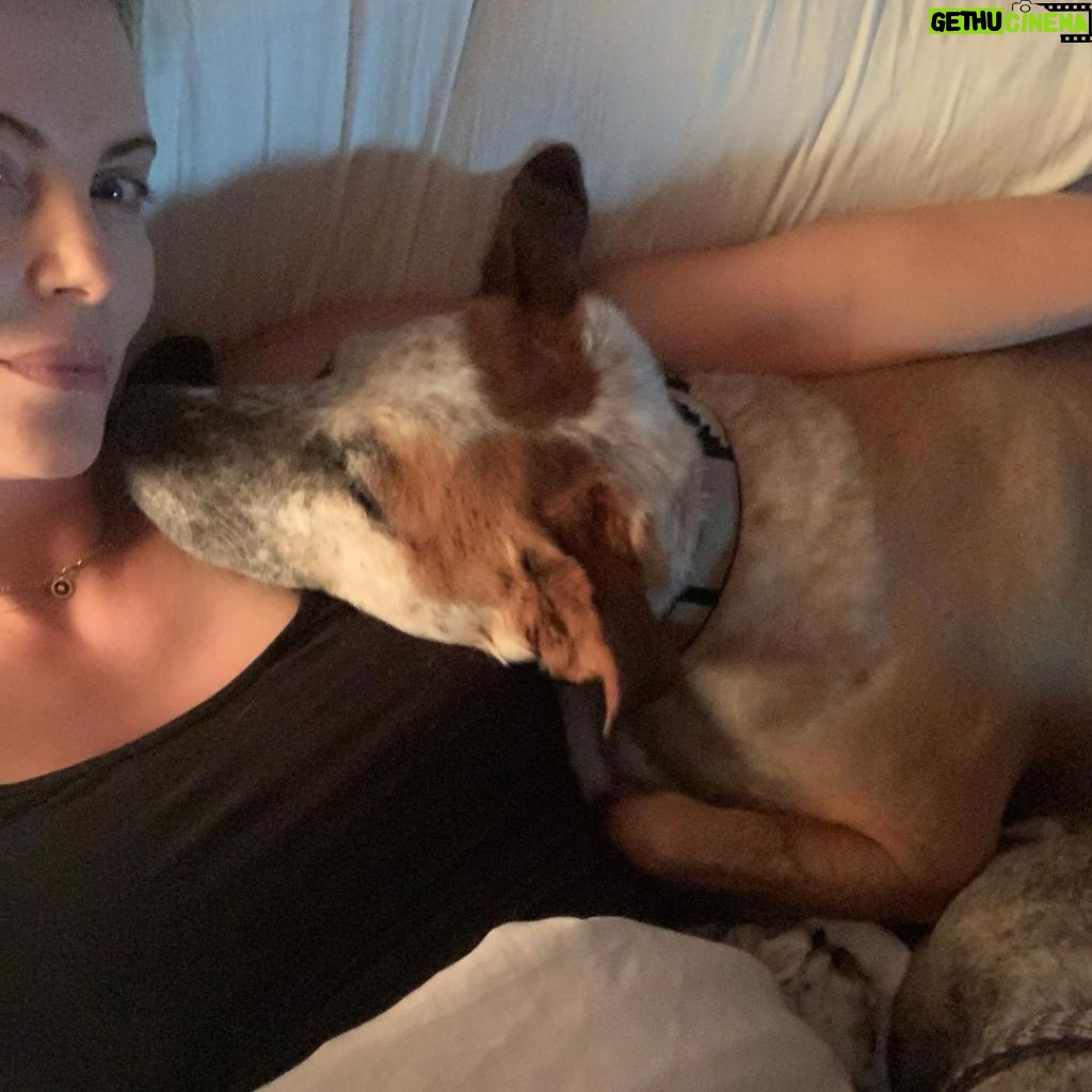 Charlize Theron Instagram - Every day is #InternationalDogDay in my house.
