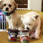 Charlize Theron Instagram - This is not an ad, just a reminder that @benandjerrys has the best ice cream in the game AND is committed to dismantling white supremacy! We love a bowl of Netflix and Chill’d with a side of racial justice!!