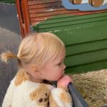 Charlotte Crosby Instagram - Yesterday at the farm with our little animal lover 😍🐔🐮🐥🦆 Tweedle Farm