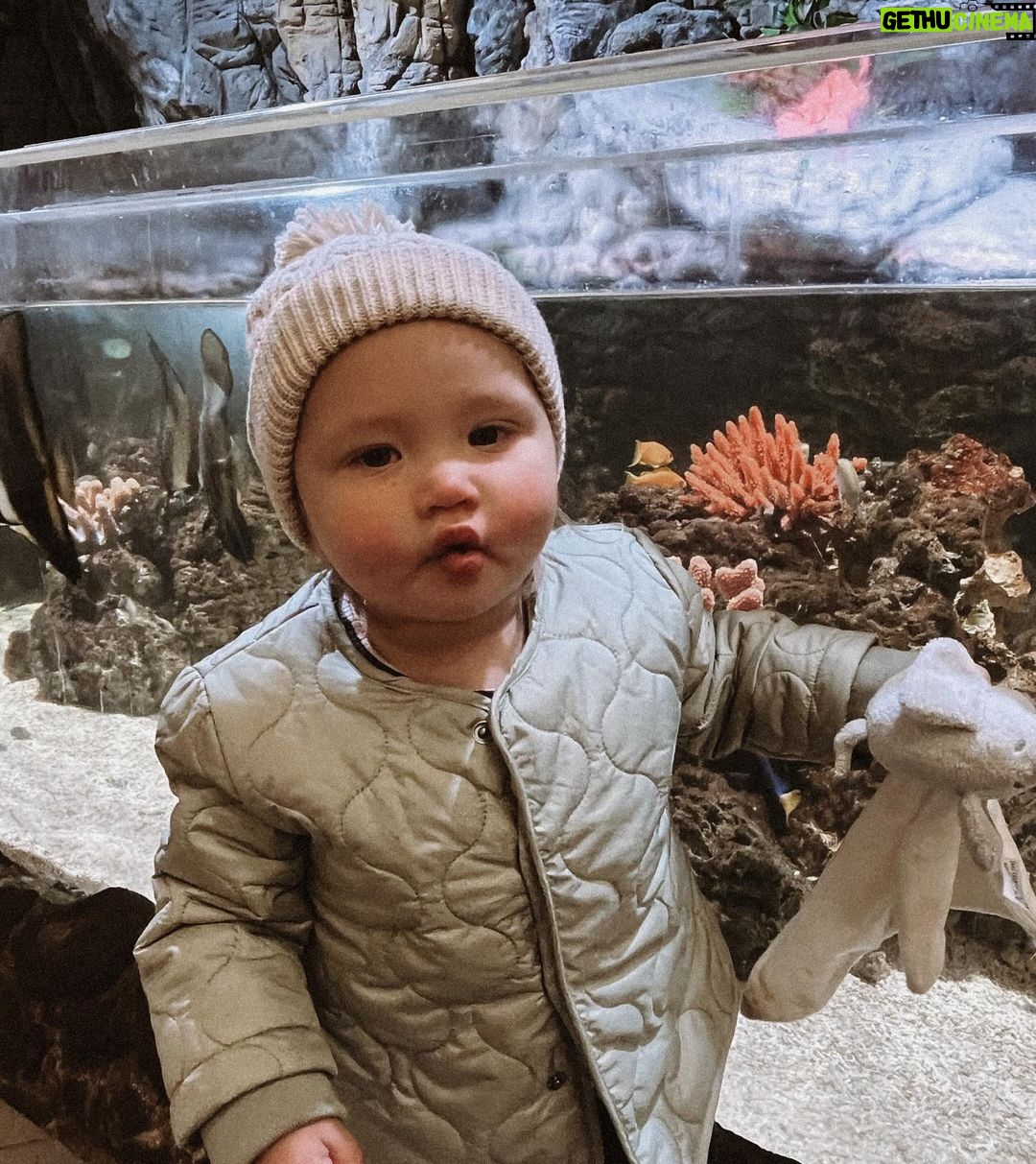 Charlotte Crosby Instagram - A family day out 💁🏻♀️ 1. Family selfie 🤳 in the new mirror in @studio_yours 2. A fishy face at the aquarium with the fishes 🐠 3. 2 gorgeous gorgeous girls 🥰 4. A moment for the tights 🔥 5. A cool dude in @gauchonewcastle 🍽️ 6. Daddy and daughter ❤️ 7. Toast and chills 8. Pinching kisses 😘 9. A Man City legend 🤣 10. A moment for my outfit @peppergirlsclub