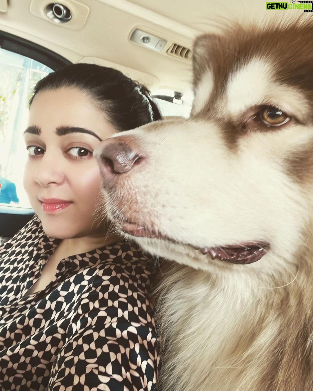 Charmy Kaur Instagram - BEWARE ( of the owner ) 😜 Mumbai, Maharashtra