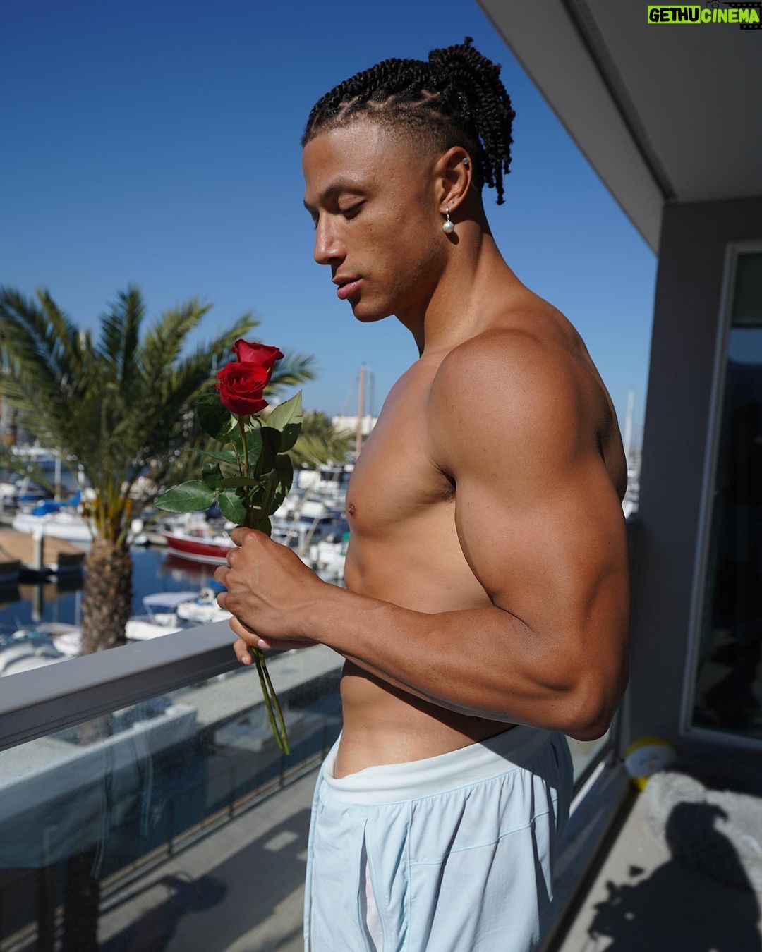 Chase De Moor Instagram - She loves me, she loves me not. - - - Would you date me? #trending Los Angeles, California