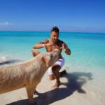 Chase De Moor Instagram - Pigs are friends. Fun fact did you know pigs are one of the smartest animals in the world outside of humans ?