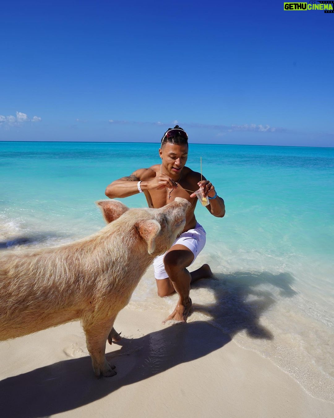 Chase De Moor Instagram - Pigs are friends. Fun fact did you know pigs are one of the smartest animals in the world outside of humans ?