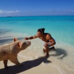 Chase De Moor Instagram - Pigs are friends. Fun fact did you know pigs are one of the smartest animals in the world outside of humans ?