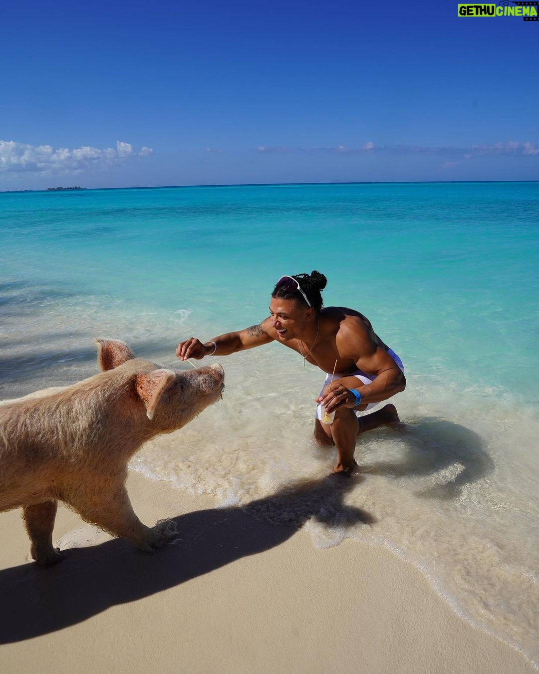 Chase De Moor Instagram - Pigs are friends. Fun fact did you know pigs are one of the smartest animals in the world outside of humans ?