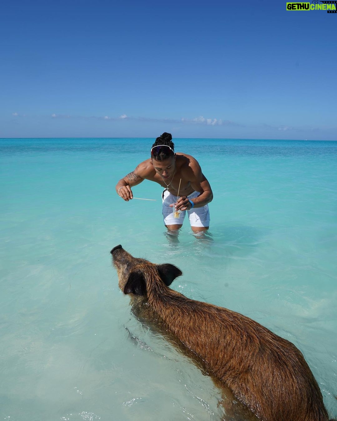 Chase De Moor Instagram - Pigs are friends. Fun fact did you know pigs are one of the smartest animals in the world outside of humans ?