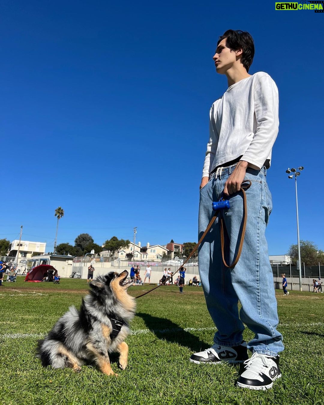 Chase Hudson Instagram - taking life on w lucario in my @dior sneaks🍁 #DiorB57 @diorbeauty