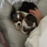 Chase Hudson Instagram – Meet Lady, im now a father of 2