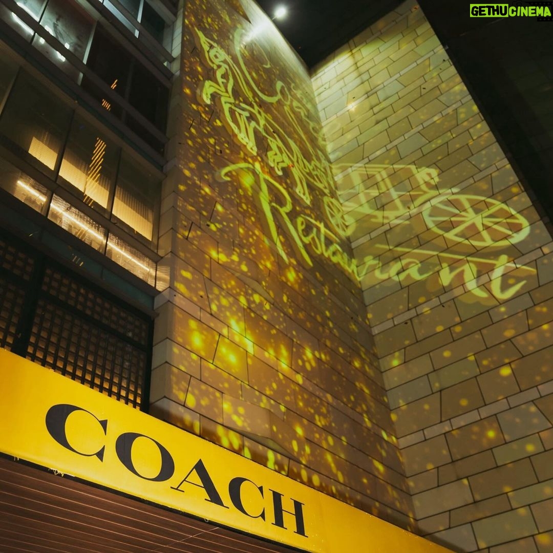 Chelsea Islan Instagram - Amazing night with COACH Friends! 🥳 Come check out world’s first The Coach Restaurant, with a vibe of New York! And also don’t forget to visit Coach Coffee Shop at Coach Grand Indonesia! #CoachNY #TheCoachRestaurant 🫰🏻