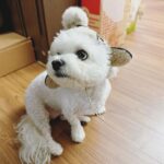 Chenle Instagram - 🥰