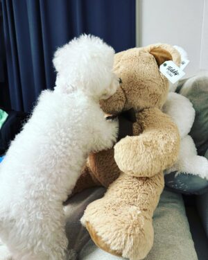 Chenle Instagram - New boyfriend….Sorry Haechan😏