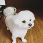 Chenle Instagram - 🥰