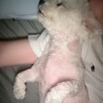 Chenle Instagram - ❤️