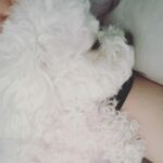 Chenle Instagram - ❤️