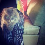 Cher Instagram -