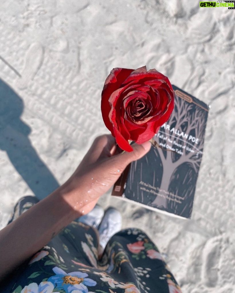 China Anne McClain Instagram - a sweetheart gave me a rose at the beach. I hope all his dreams come true ❤