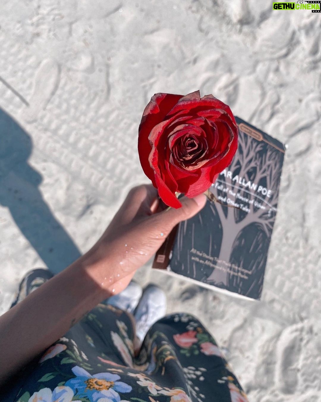 China Anne McClain Instagram - a sweetheart gave me a rose at the beach. I hope all his dreams come true ❤️