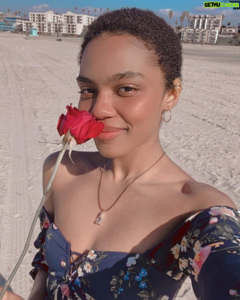 China Anne McClain Instagram - a sweetheart gave me a rose at the beach. I hope all his dreams come true ❤