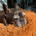 Chino Darín Instagram - El descanso de la reina