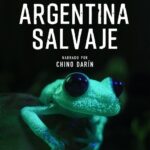 Chino Darín Instagram – .
¡CUENTA REGRESIVA!
Doble Preestreno

Llega el preestreno de Argentina Salvaje, la primera película argentina de naturaleza y vida salvaje para cines.

Narrada por Chino DarÍn, se trata de una producción original de Light & Shadow (Alemania) junto a Jumara Films (Argentina) con la participación los mejores camarógrafos de vida salvaje de Sudamérica.

Preestreno 1:
17 de Agosto
Centro Cultural de la Ciencia
CUPOS AGOTADOS

Preestreno 2
30 de Agosto
Cines Gaumont
MUY PRONTO ABRIREMOS EL REGISTRO.

¡No te pierdas este increíble documental!

@jumarafilms
@lightandshadowtv
@kenyafilms
@chinodarin

@incaa_argentina
@ccdelaciencia

#jumarafilms #ArgentinaSalvaje