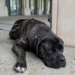 Chino Darín Instagram - Lunes otra vez…