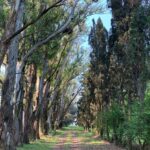 Chino Darín Instagram - Domingo 14, nuevos viejos caminos.