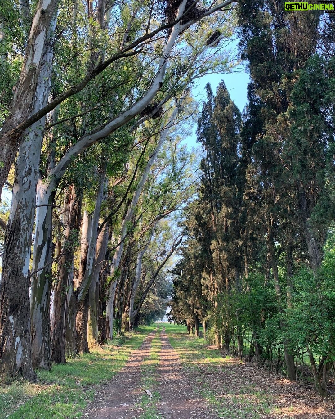 Chino Darín Instagram - Domingo 14, nuevos viejos caminos.