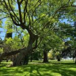 Chino Darín Instagram – La natura!