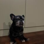 Chino Darín Instagram - La Nancy es feroz