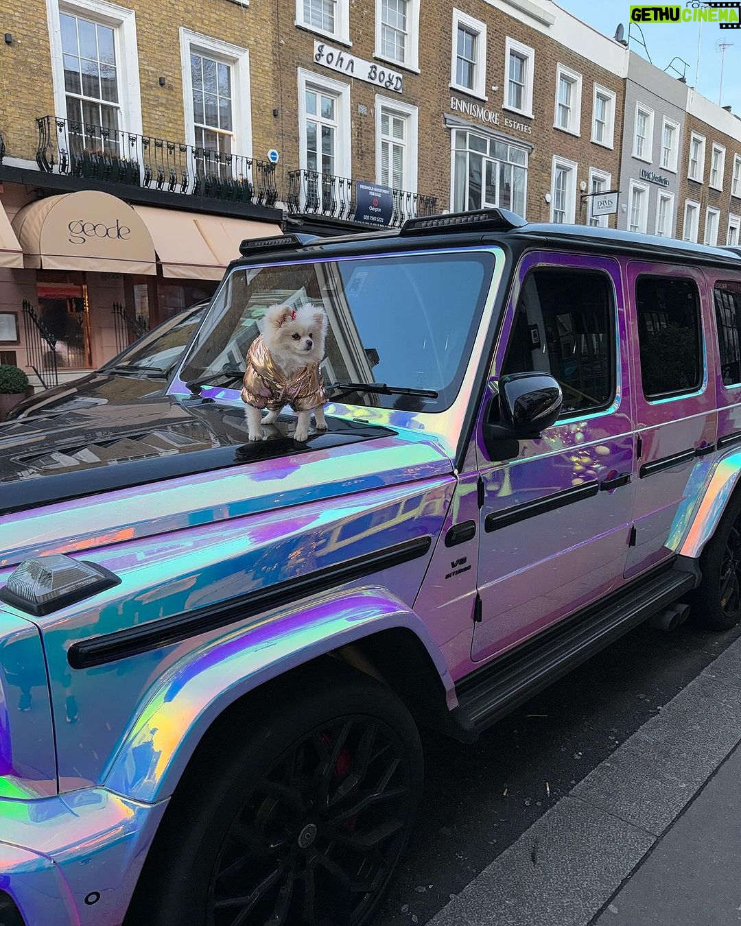 Chloe Khan Instagram - @diorcaviar making friends with Boy at @loveluxury 🐾 Love Luxury