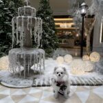 Chloe Khan Instagram - My little snowflake @diorcaviar Knightsbridge, London