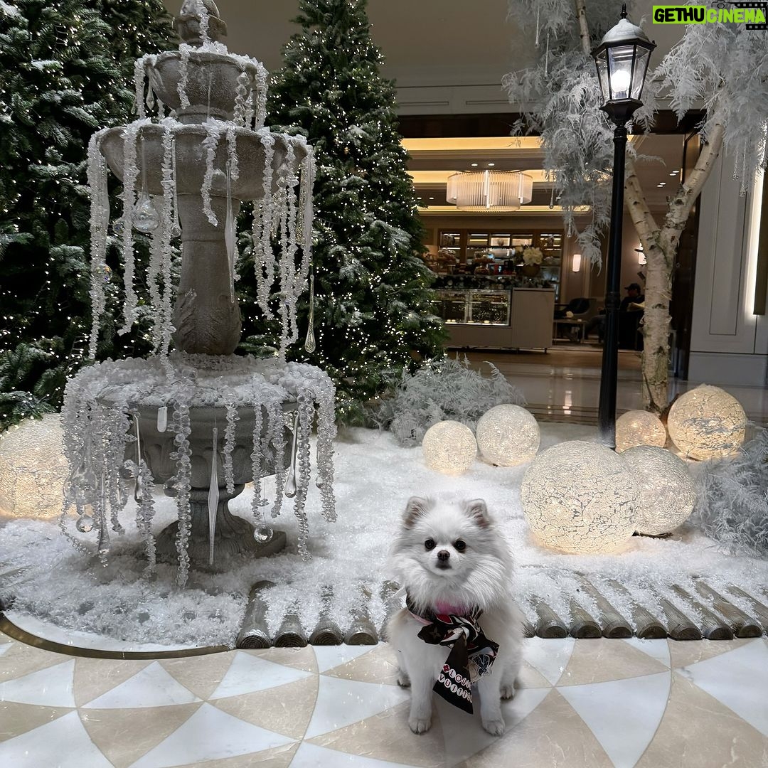 Chloe Khan Instagram - My little snowflake @diorcaviar Knightsbridge, London